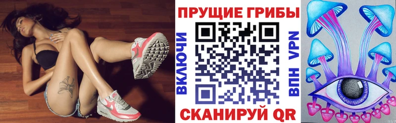 Псилоцибиновые грибы Psilocybe  Лихославль 